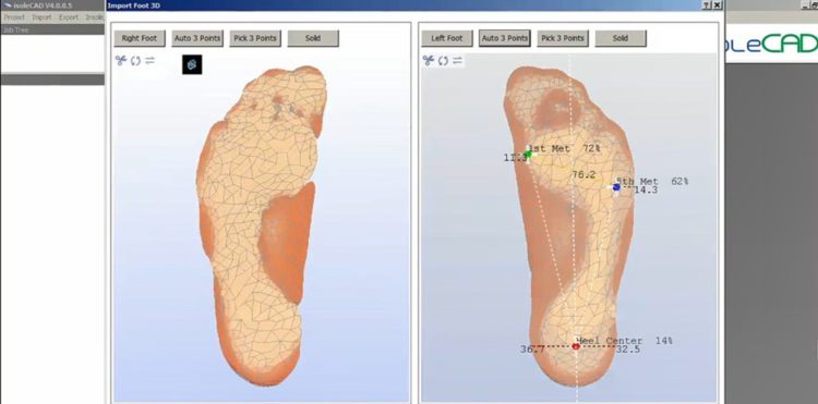 Screenshot of IsoleCAD program for creating insoles