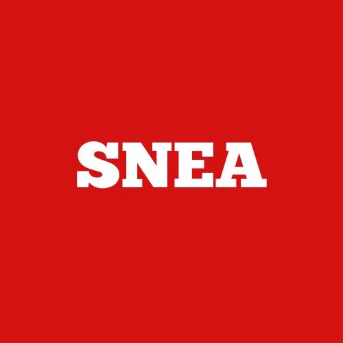 SNEA Logo