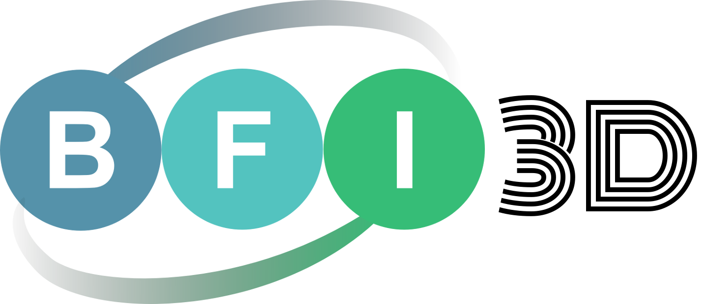 BFI 3D Logo